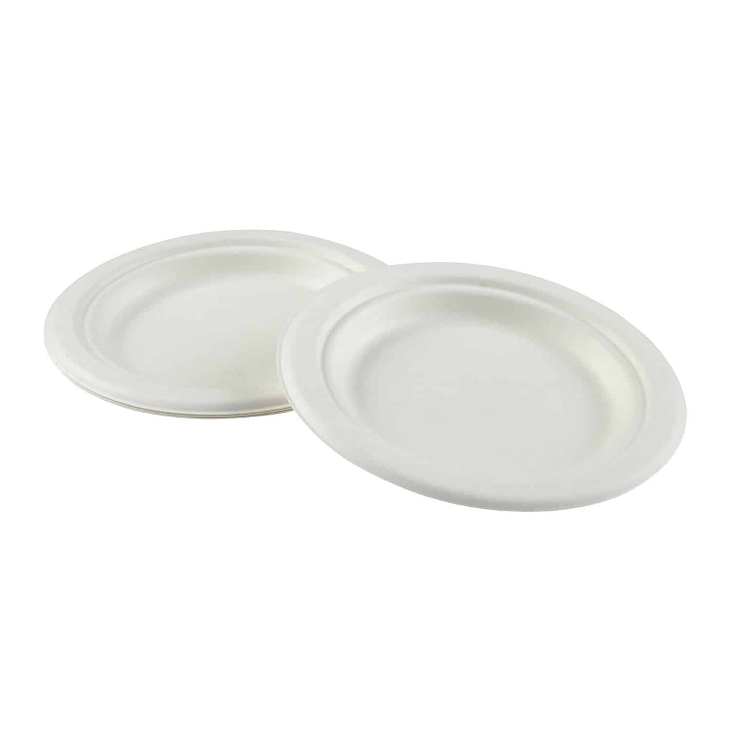 6 fiber compostable plate 1000 cs