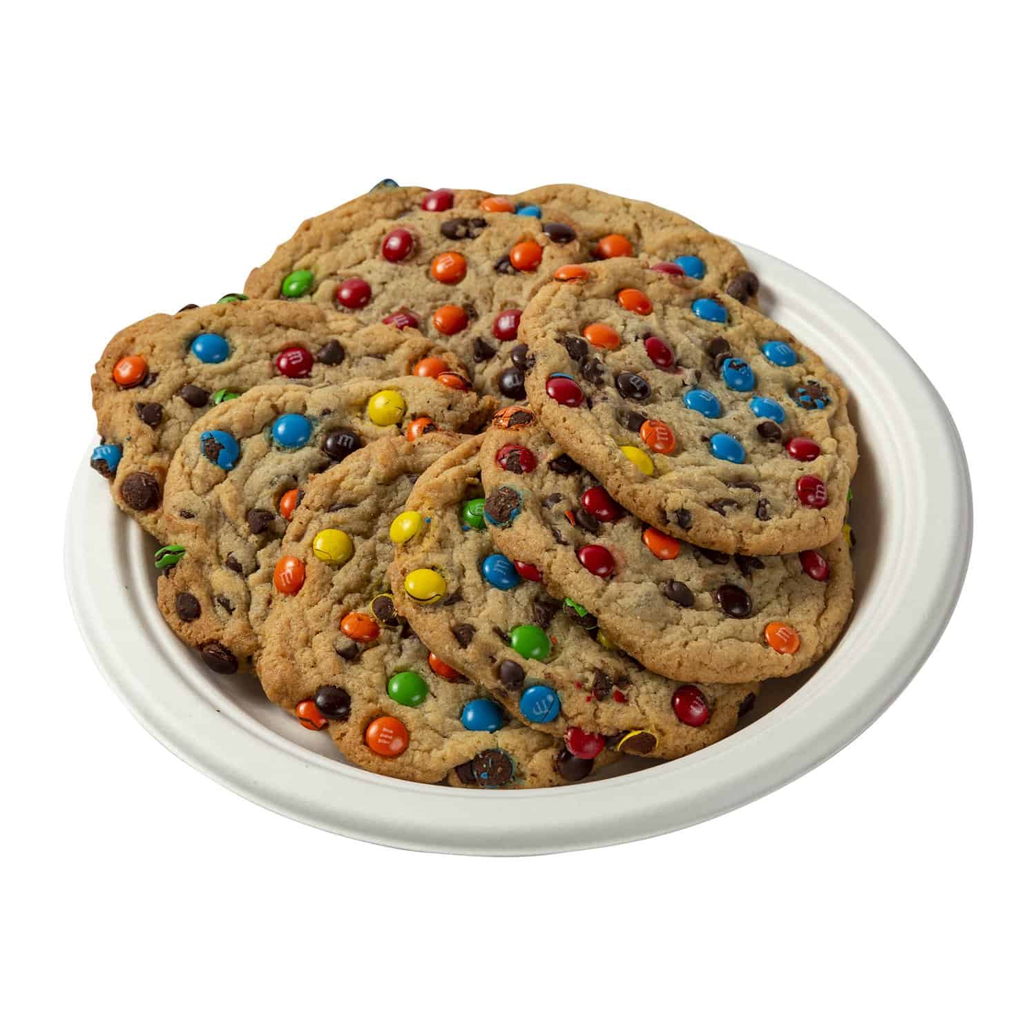 10 fiber compostable plate 500 cs