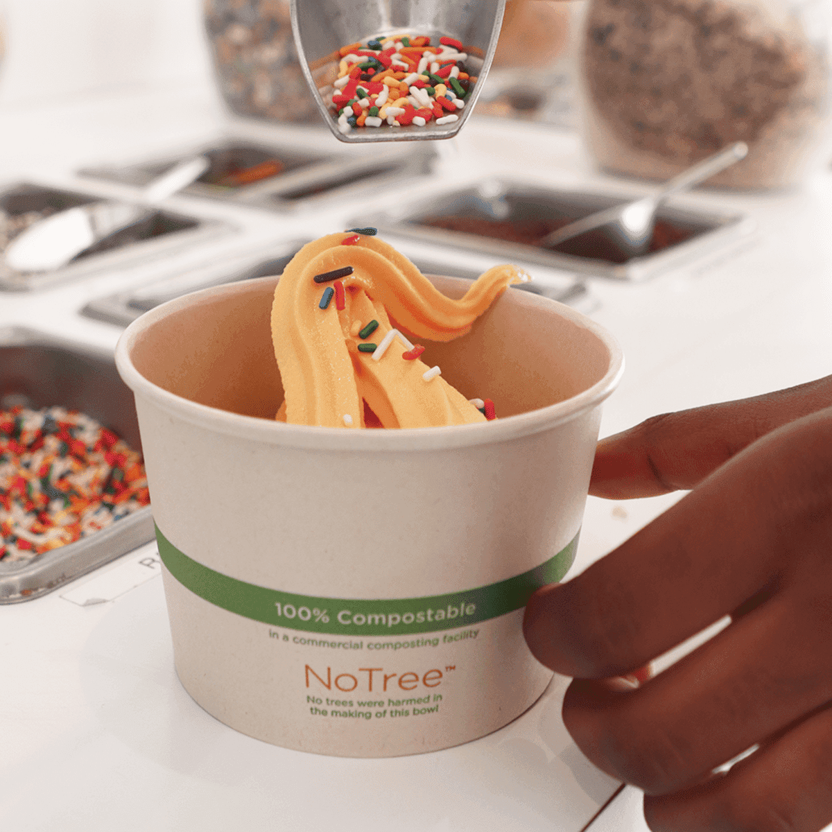 16 oz NoTree Paper Bowl (500/case) - SupplyClub