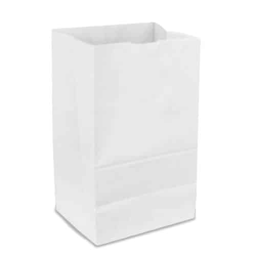 8 1/4" x 5 5/16" x 16 1/8" White Paper Bag