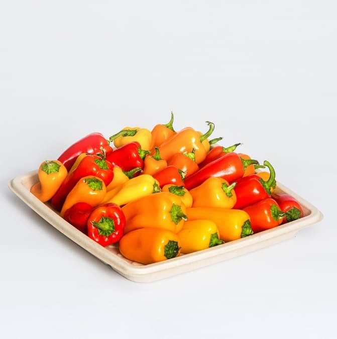 10.7" Square Fiber Platter - Image 3