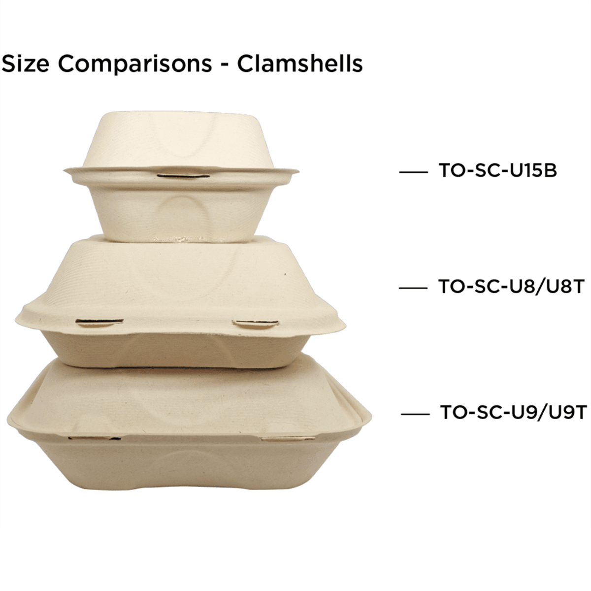 8" x 8" x 3" Fiber Clamshell, 1-Compartment - Image 5