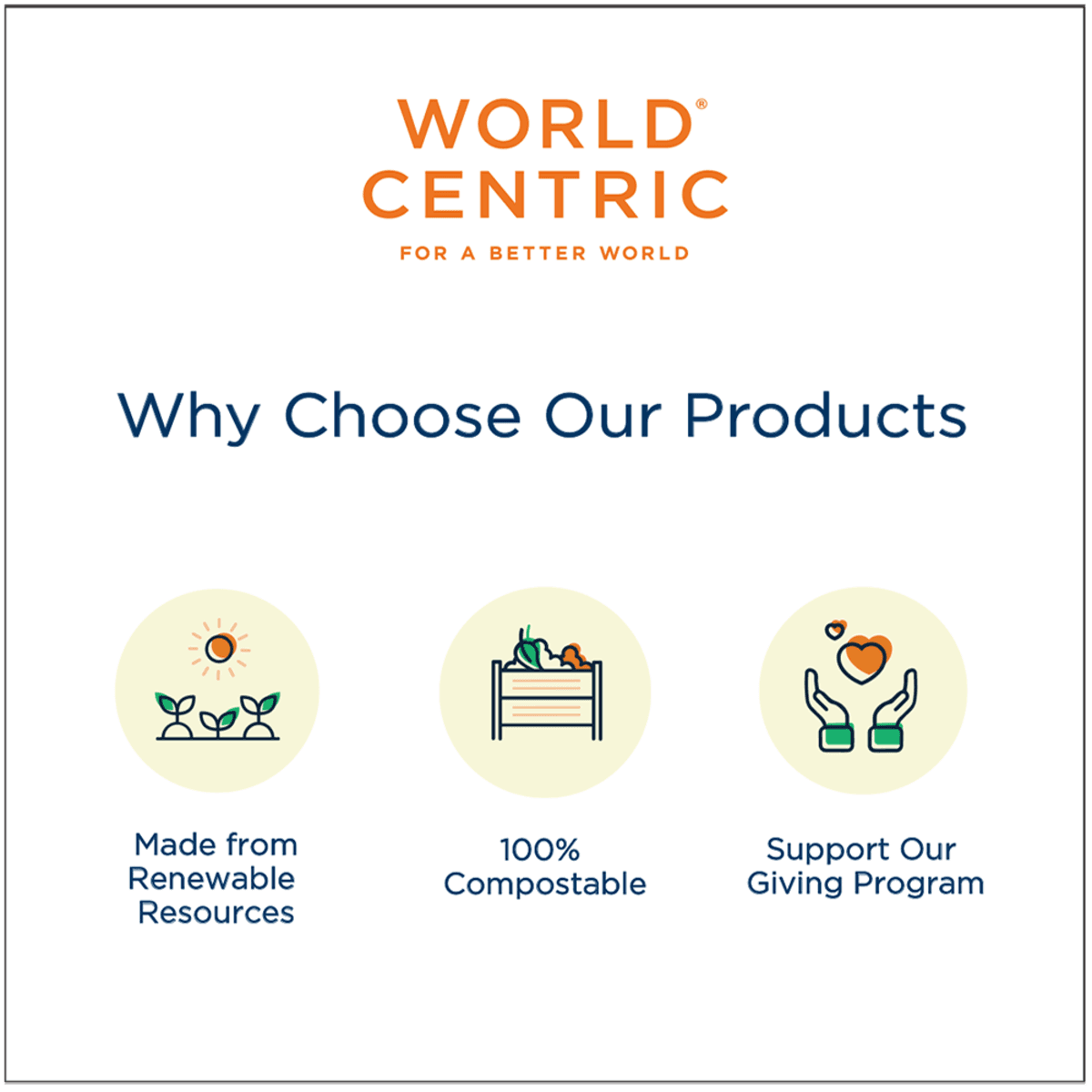 10.5 x 8.2 x 1.25" Tray PLA Lined - Image 4