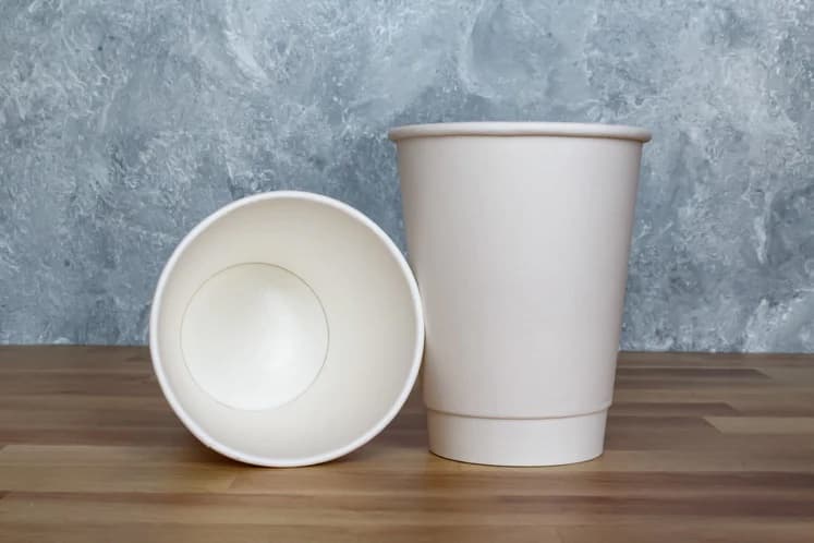 12 oz PE Lined Double Wall Paper Hot Cup, White