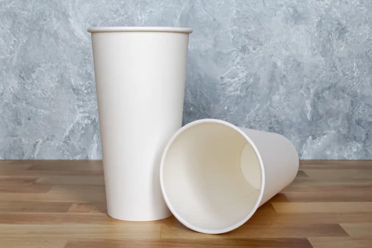 20 oz Paper Hot Cup, White