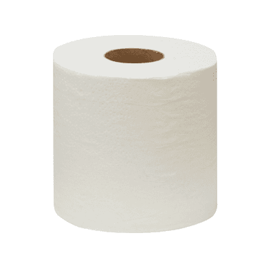 Regular Roll Bath Tissue