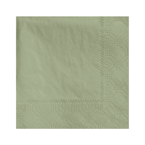 Hoffmaster 4.75 " Regal Embossed 2-Ply Soft Sage Beverage Napkins - Image 2