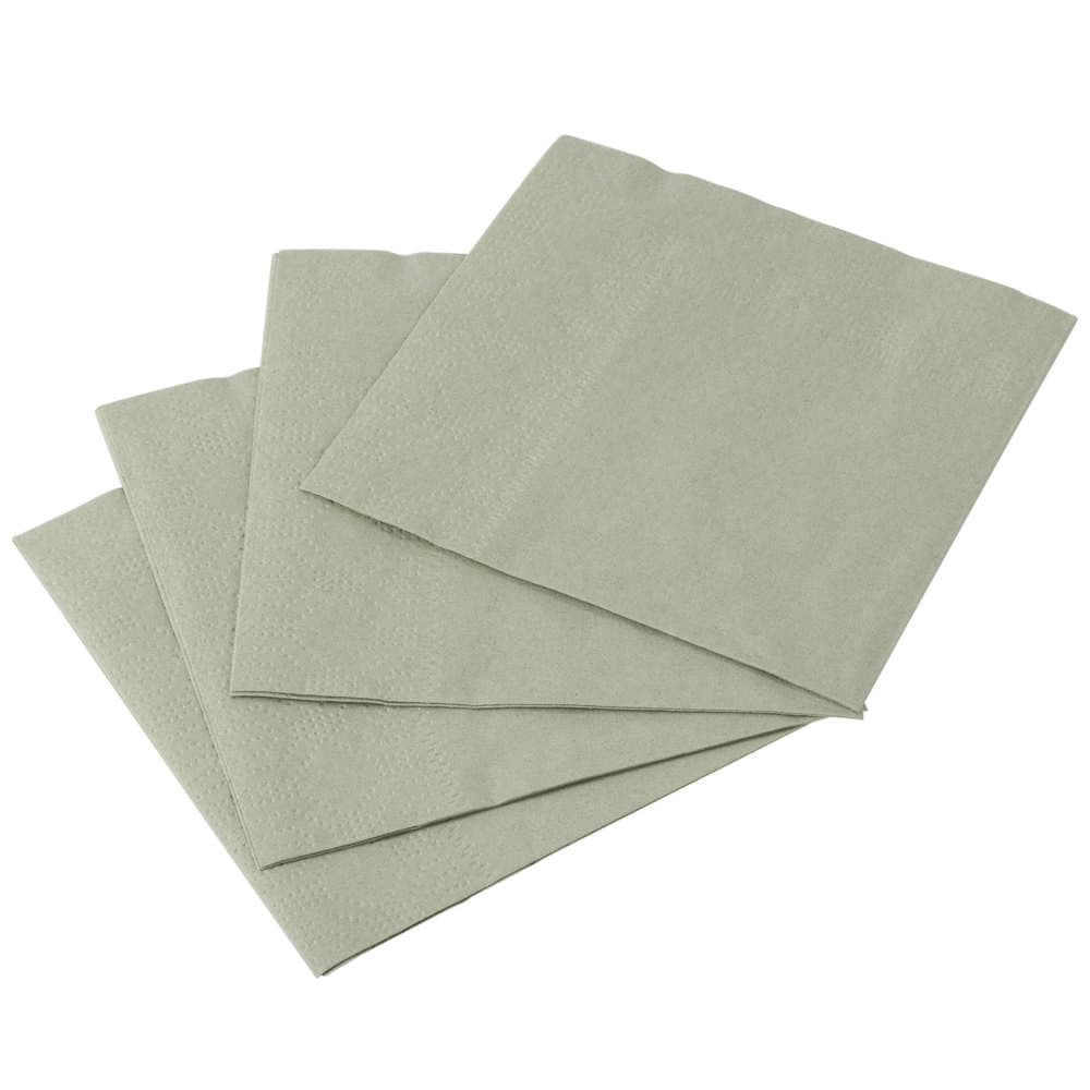 Hoffmaster 4.75 " Regal Embossed 2-Ply Soft Sage Beverage Napkins - Image 6