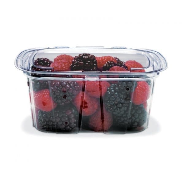 Placon Crystal Seal® 16 oz Clear Tamper-Evident Hinged Deli Base