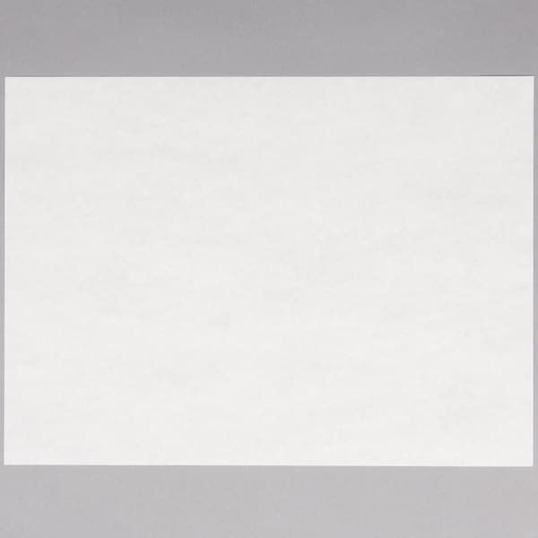 Gordon Paper 9" x 12" 40# White Steak Paper Sheets - 1000/Box - Image 2