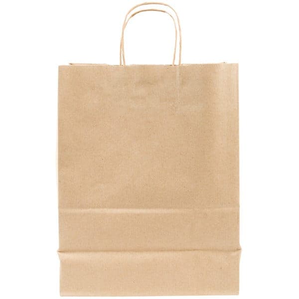 10" x 5" x 13" Kraft Paper Bag with Handles