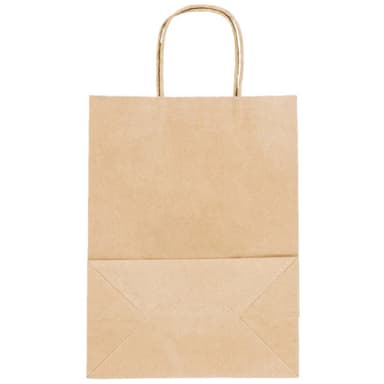 8" x 4.75" x 10" Kraft Paper Bag with Handles