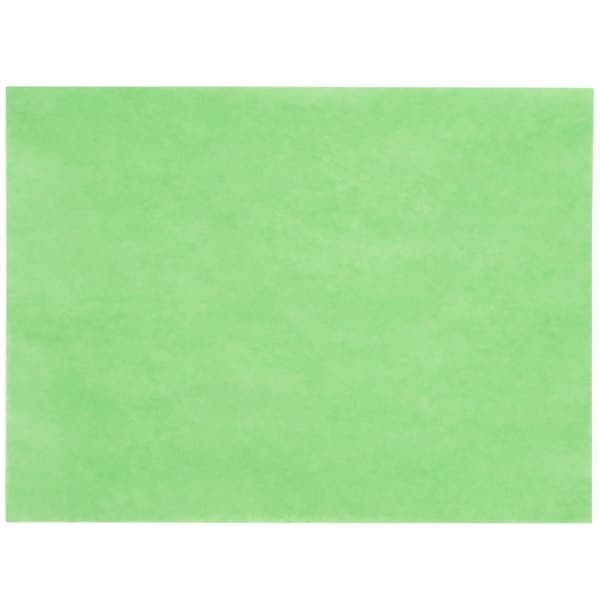 Gordon Paper 9" x 12" 40# Green Steak Paper Sheets - 1000/Box